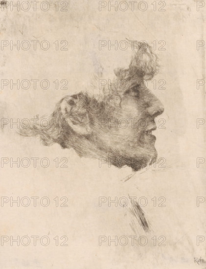 Portrait of Sarah Bernhardt, print, printmaker: Philip Zilcken, after photo by anonymous, 1867 - 1890, paper, etching, intaglio printmaking technique, height 189 mm x width 146 mm, Person, Sarah Bernhardt, historical persons, A sepia-toned sketch shows a profile of a person's head facing right, rendered with fine, wispy lines that form textured hair, an ear, forehead, nose, mouth, and chin, with loose, sketchy strokes suggesting neck and shoulder area and faint smudges and stray marks on the surrounding blank paper.