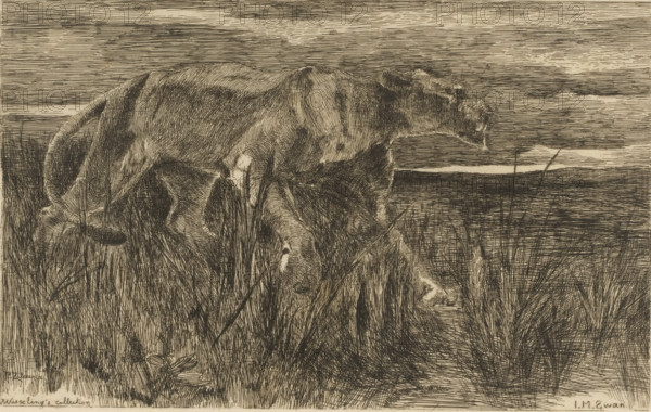 The mouse (bric-à-brac) (original title), Dead mouse, sandal and figurehead of a ship, print, printmaker: Philip Zilcken, 1867 - 1890, paper, etching, drypoint, intaglio printmaking technique, height 171 mm x width 118 mm, shoes, sandals, rodents: mouse, parts of ship's exterior: figure-head, A detailed monochrome etching shows two cows standing in tall grass near a flat horizon. The animals are rendered with fine, closely spaced lines emphasizing their textured coats, muscular forms, and facial features; one cow is positioned with its head lowered and partially obscured by grass while the other faces more to the right with its profile visible. The foreground is dense with slender blades and clumps of vegetation, some crossing over the animals, and the background displays a wide, streaked sky above a distant, horizontal land or water plane. The overall composition is dominated by linear mark-making and crosshatching that define shadows, contours, and the natural setting.