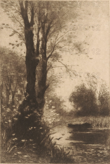 Autumn morning (original title), Trees on the water, print, printmaker: Philip Zilcken, 1867 - 1890, paper, etching, drypoint, intaglio printmaking technique, height 178 mm x width 122 mm, steps, pound, pole, A tall dark tree trunk rises at the left with textured bark and branches extending upward and outward, surrounded by dense foliage and lighter, feathery leaves; a narrow body of water runs from the foreground toward the background on the right, reflecting darker ripples and bordered by reeds and grasses; a small boat rests on the water near the center right, silhouetted against the surface; distant clusters of trees and shrubs form a soft, hazy background, and scattered leaves appear to float in the air and on the ground.