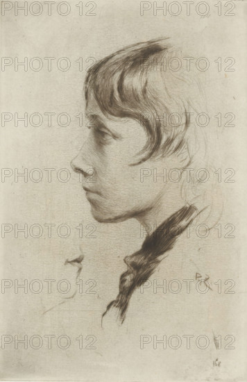 Head of a girl, in profile, print, printmaker: Philip Zilcken (signed by artist), 1867 - 1890, paper, drypoint, intaglio printmaking technique, drypoint on zinc, with plate tone, height 188 mm x width 124 mm, adolescent, young woman, maiden, A sepia-toned pencil drawing shows the left-facing profile of a young person with a slender nose, closed lips, and a softly contoured jawline. Their hair is drawn with fine, flowing lines, framing the forehead and temple before gathering into a dark, textured braid that hangs down along the neck. Light sketch lines suggest the ear and the back of the head, while subtle shading defines the cheek and eye socket. The background is plain and textured, with faint stray pencil marks and a small loose curl of hair depicted below the chin.