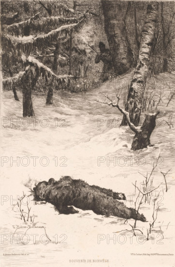 Hunter in the snow with shot bear, Souvenir de Norwège., print, printmaker: Etienne Prosper Berne-Bellecour, France, publisher: widow Alfred Cadart, Paris, 1845, c. 1879 - c. 1882, paper, etching, drypoint, intaglio printmaking technique, height 278 mm x width 186 mm, forest, wood, snow, beasts of prey, predatory animals: bear, hunt, mammals, A monochrome scene of a snowy forest with tall trees and low branches laden with snow, showing a fallen animal lying on the snow in the foreground and a second animal slumped nearby, with sparse leafless twigs and grasses poking through the snow around them, and a figure partially hidden among the trees in the background holding a long object, all rendered in fine cross-hatched lines.