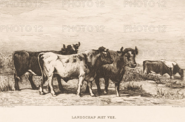 Landscape with cattle (original title on object), print, printmaker: Philip Zilcken, after painting by Johannes Hubertus Leonardus de Haas, 1867 - 1890, paper, chine collé, etching, drypoint, intaglio printmaking technique, etching and drypoint, with plate tone, on chine collé, height 182 mm x width 242 mm, bovine cattle, A sepia-toned landscape drawing shows several cows standing on grassy, muddy ground near a body of water; three cows are grouped in the foreground with visible hooves, textured fur, and curved horns, one of which faces toward the viewer while the others are shown in profile, their bodies overlapping; another cow grazes at the water’s edge to the right, its head lowered; reeds and tufts of grass grow around the water and along the ground, and the sky above is rendered with horizontal, woodgrain-like lines.