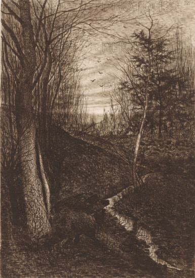Landscape with two wild boars, print, printmaker: H. van Meerbeeck, 1850 - 1913, paper, etching, intaglio printmaking technique, etching with plate tone, height 280 mm x width 198 mm, forest, wood, pig, water course, A monochrome, highly detailed landscape depicting a wooded scene with tall bare trees framing a narrow clearing, slender branches stretching across the sky, a group of small birds in flight in the open space, dense underbrush and tangled vegetation at the forest floor, a winding stream or narrow water channel reflecting light as it snakes through the terrain, textured tree trunks and rough bark in the foreground, a mix of thin saplings and fuller coniferous trees toward the right, layered crosshatching and fine lines creating shading and depth, and a pale, clouded sky visible above the treeline.