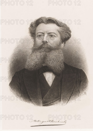 Portrait of August Michiels, Mr August Michiels, print, printmaker: Jean Baptiste Pierre Michiels, 1831 - 1890, paper, chine collé, etching, etching on chine collé, height 296 mm x width 214 mm, Person, August Michiels, historical persons, adult man, beard, A detailed black and white engraved portrait of a man shown from the chest upward with wavy hair and a full, bushy beard and mustache, wearing a dark suit jacket, a shirt with a visible collar, and a bow tie, set against a textured shaded background.
