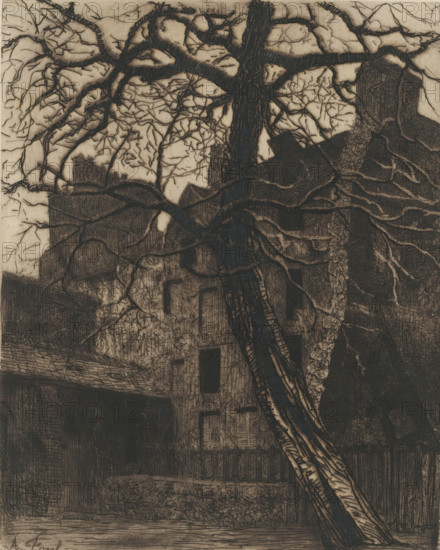 Courtyard of the Église Saint-Julien-le-Pauvre in Paris, print, printmaker: Alexis Forel, dedicated to: Adriaan Pit, 1862 - 1913, paper, etching, intaglio printmaking technique, height 246 mm x width 197 mm, courtyard, Paris, Église Saint-Julien-le-Pauvre, A tall tree with a thick trunk and many branching limbs fills the foreground, its bark rendered in dark, textured lines and lighter highlights; behind and around the tree are silhouettes of multi-story buildings with windows and varied rooflines, their surfaces crosshatched and shaded, and a fence and hedgerow run along the base of the buildings; the sky is a pale, mottled background visible through the tree’s network of thin, twisting branches.