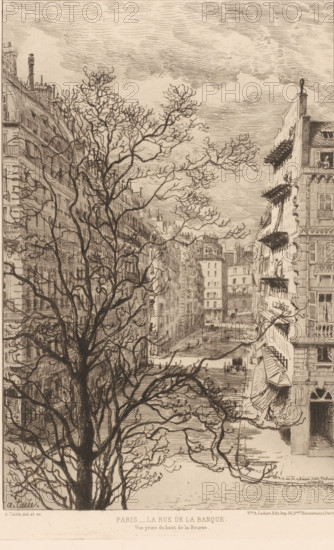 View of the Rue de la Banque, print, printmaker: Alfred Taiée, Paris, publisher: Alfred Cadart, 1878-02, paper, etching, intaglio printmaking technique, height 287 mm x width 216 mm, city-view in general, 'veduta', street, A detailed sepia-toned etching shows a narrow city street lined with tall, multi-story buildings on both sides and a large leafless tree with intricate branches filling the foreground; the buildings display rows of windows, balconies with railings, projecting awnings, and decorative façades, and a few small human figures appear on balconies and near windows; the street recedes toward a distant cluster of buildings beneath a sky rendered with layered, horizontal strokes suggesting clouds, and the scene includes shadows and fine linear textures across architecture, tree bark, and pavement.