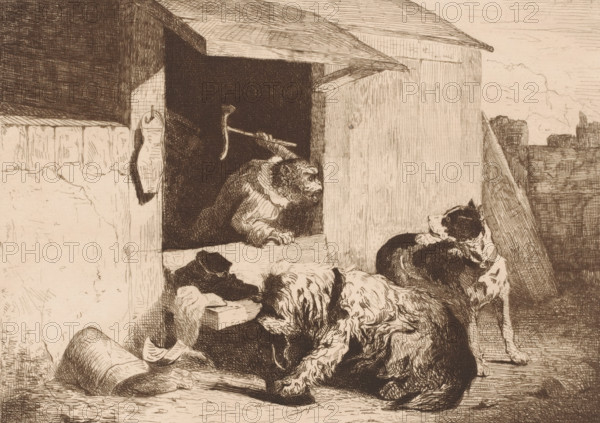 Monkey dressed as a shoemaker chasing away two dogs biting shoes, Le singe savetier, The shoemaker, print, Numbered top right: 113., printmaker: Zacharie Noterman, 1830 - 1890, paper, etching, intaglio printmaking technique, height 238 mm x width 317 mm, dog, monkeys, apes, shoe-maker, cobbler, tools, aids, implements, crafts and industries: hammer, A sepia-toned etching shows a wooden structure with an overhanging roof and a dark interior opening from which a monkey leans out holding a hooked tool, its face turned toward a group of three dogs; one dog sits alert and looks back toward the opening, another dog lies with its head raised and fur detailed in flowing lines, and a third dog reclines with its head down; a hanging object is affixed to the wall beside the opening, rough planks and textured walls form the surrounding surfaces, and the ground in front of the structure is shaded with fine crosshatching.
