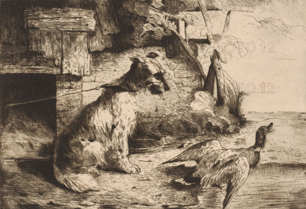 Dog on a chain and a duck, print, printmaker: attributed to Zacharie Noterman, 1830 - 1890, Attributed to, paper, etching, intaglio printmaking technique, drypoint, height 181 mm x width 258 mm, dog, water birds: duck, A detailed sepia-toned etching showing a medium-sized dog with shaggy fur sitting on a wooden surface facing a pair of ducks, one of which has its beak open, with wooden planks and rough stone behind the dog, foliage and a post in the background, and water visible near the ducks.