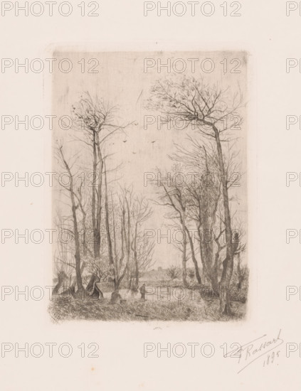 Landscape with fishermen on the water, print, printmaker: F. Rassart, 1895, paper, etching, intaglio printmaking technique, drypoint, height 171 mm x width 126 mm, landscapes with waters, waterscapes, seascapes (in the temperate zone), fishing (sports), A vertical drawing of a wooded scene framed by a faint rectangular border, showing tall, leafless trees with intricate branching extending upward and a few small birds in the sky area. In the lower area there is a small body of water reflecting nearby trunks, with a solitary figure standing at the water's edge. Dense undergrowth and clustered tree trunks fill the foreground, and a suggestion of distant landscape appears between the trees. The image is rendered in fine, delicate lines on a pale background.