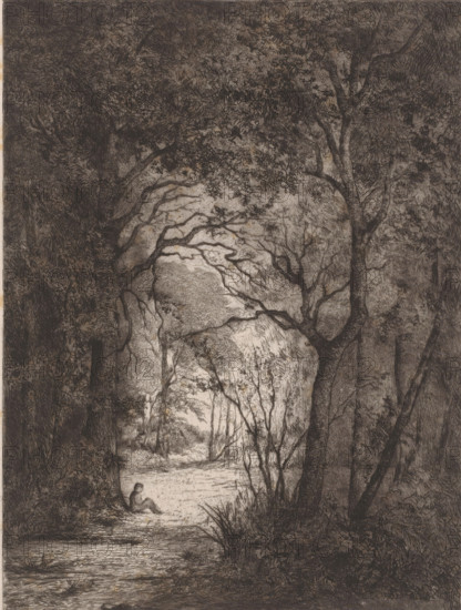 Man resting in a clearing in a forest, print, printmaker: Emilie Rolin-Jacquemijns (signed by artist), 1852 - 1906, paper, chine collé, etching, intaglio printmaking technique, retroussage, height 318 mm x width 239 mm, adult man, forest, wood, resting - BB - out of doors, A detailed monochrome etching of a wooded scene with dense foliage and tall trees forming a shaded archway leading to a lighter clearing, twisting branches and textured bark filling the upper and side areas, a narrow path or stream running toward the foreground, grasses and undergrowth along the edges, and a solitary seated figure near the shaded edge facing the illuminated opening.