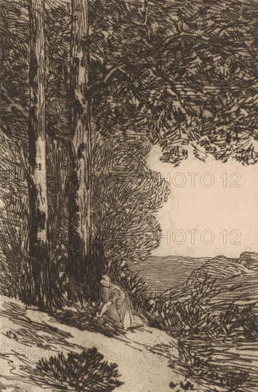 Forest landscape with gleaner, La bucheronne, Grand paysage Brabançon, Cahier d'études eau-fortes originales et inédites, print, printmaker: Félicien Rops, printmaker: Louis Dubois, publisher: Félix Callewaert (père), Brussels, 1874, Félicien Rops, Louis Dubois, Félix Callewaert (père), printmaker, publisher, paper, etching, drypoint, intaglio printmaking technique, height 287 mm x width 190 mm, A detailed ink drawing of a natural scene showing tall, textured tree trunks on the left with dense, sketchy foliage extending upward and across the top, a pale open space to the right suggesting sky, layered rocky or grassy terrain in the middle and background, and a small, crouching human figure near the base of the trees who appears to be reaching toward the ground.