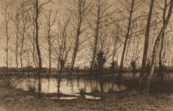 Landscape with pond surrounded by trees, print, Remarque with bird lower left in the margin., mark: 'Antwerpsche Etsers 1880', printmaker: Henri Rul, 1872 - 1913, paper, etching, intaglio printmaking technique, retroussage, height 240 mm x width 320 mm, pound, pool, A sepia-toned scene showing a stand of tall, thin trees with bare branches along the edge of a calm body of water, their trunks and twigs rendered in dark etched lines against a lighter sky, with reflections of the trunks and branches visible on the water surface and dense undergrowth and grasses along the shoreline.