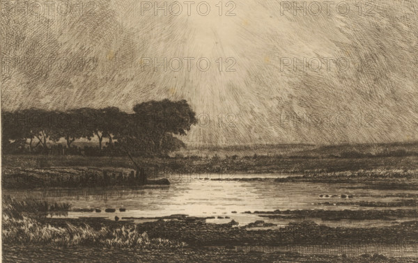 View of the Meuse near Jupille, print, printmaker: Théodore Tscharner, 1836 - 1906, paper, Japanese paper (handmade paper), etching, drypoint, intaglio printmaking technique, height 220 mm x width 314 mm, river, Maas, Liege, A monochrome etching of a riverside landscape showing a wide body of water in the foreground with rippling reflections and scattered stones, marshy grasses along the near banks, and a low shoreline leading back to distant flat fields; a dark clump of trees and taller vegetation forms a horizontal silhouette near the middle left, with individual tree trunks and a fence partially visible within the foliage; the sky above is filled with finely hatched lines radiating from a bright central area, creating a textured pattern of light and shadow across the scene.