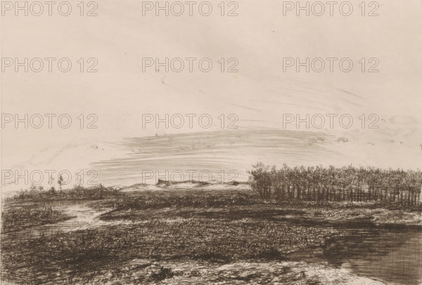 Landscape in the Kempen, print, printmaker: Jerôme Tuyttens (signed by artist), c. 1850 - 1883, paper, etching, drypoint, intaglio printmaking technique, height 230 mm x width 317 mm, A wide, pale scene rendered in fine dark lines shows a flat foreground of textured ground with low grasses and shallow water, leading back to a narrow band of clustered, leafless trees on the right and a few scattered taller stems on the left, beyond which low, rounded hills sit on the horizon; the sky above is mostly empty with soft horizontal strokes and faint smudges suggesting light cloud or atmospheric variation.