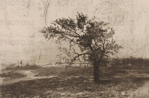 Landscape in the Kempen, print, printmaker: Jerôme Tuyttens (signed by artist), c. 1850 - 1883, paper, etching, drypoint, intaglio printmaking technique, height 230 mm x width 317 mm, A single tree with a textured trunk and a spreading canopy of small leaves stands in the foreground on a rough, shaded ground; behind it a low, uneven horizon with clusters of vegetation stretches across the scene, and faint linear and curved scratch-like marks fill the sky and background, creating a worn, etched appearance.