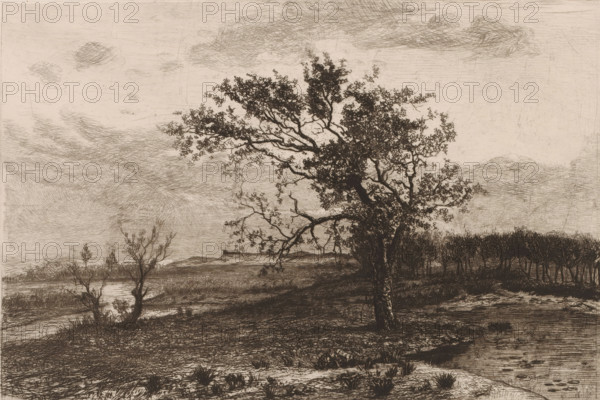 Landscape in the Kempen, print, printmaker: Jerôme Tuyttens, c. 1850 - 1883, paper, etching, drypoint, intaglio printmaking technique, height 229 mm x width 317 mm, A sepia-toned landscape etching showing a large, leafy tree with a textured trunk in the foreground, its branches spreading across the middle of the scene and silhouetted against a lightly clouded sky. To the left, smaller bare-branched trees stand near a reflective water area, while a distant low ridge or hill appears on the horizon. On the right, a dense stand of slender trees forms a darker mass, and the foreground ground is uneven with tufts of grass and scratched detailing. The sky features several soft, crosshatched clouds and fine linear marks.