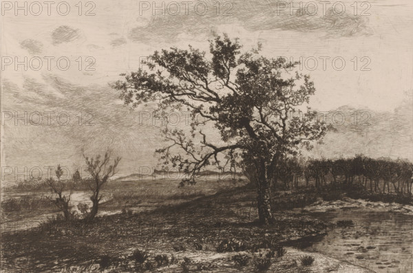 Landscape in the Kempen, print, annotation: 'Le s... dans la bruyere, tuytens', printmaker: Jerôme Tuyttens, c. 1850 - 1883, paper, etching, drypoint, intaglio printmaking technique, height 212 mm x width 291 mm, A monochrome etching of a landscape showing a large tree in the foreground with a textured trunk and a spreading canopy of small leaves, surrounded by low grass and marshy ground. In the midground there are smaller, sparse trees and shrubs, and a dense stand of trees forming a dark band across the horizon. A body of water or wetland is visible near the lower right, with rippled surface marks. The sky is filled with layered, crosshatched clouds and fine linework suggesting atmospheric shading. The overall image consists of intricate line etching with varied densities to define forms and textures.