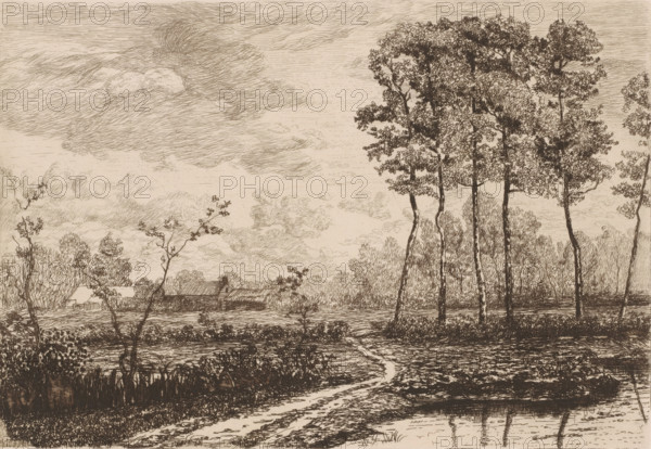 Landscape with row of birches, print, printmaker: Jerôme Tuyttens (signed by artist), c. 1850 - 1883, paper, etching, drypoint, retroussage, intaglio printmaking technique, height 201 mm x width 284 mm, A detailed sepia-toned ink landscape showing a foreground path winding across textured ground toward a body of reflective water, low vegetation and grasses along the shore, and slender tree trunks rising at the right with dense clusters of leaves rendered in fine lines; a line of taller trees and shrubs fills the midground, and a small group of simple buildings with pitched roofs sits near the waterline; the sky above is filled with layered, wispy clouds drawn with many short, flowing strokes.