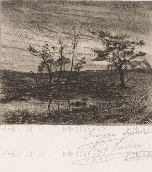 Bare trees by a pond, print, inscription: 'Derniere epreuve, 1887 sculpsit', printmaker: Frans de Vadder (signed by artist), 1887, paper, etching, intaglio printmaking technique, height 164 mm x width 200 mm, Presumably a landscape in the Kempen., water course, A monochrome etching shows a landscape with a wide sky filled with dense, hatched strokes; in the foreground there is a marshy area with tall grasses and reflective water; several thin, leafless or sparsely leaved trees with gnarled trunks and branches stand along the water’s edge, and a larger, more foliaged tree appears to the right; low rolling hills and distant trees form the middle ground, all rendered with fine crosshatching and varied line work that gives texture to the ground, water, and sky, while a blank pale margin occupies the lower portion of the image.