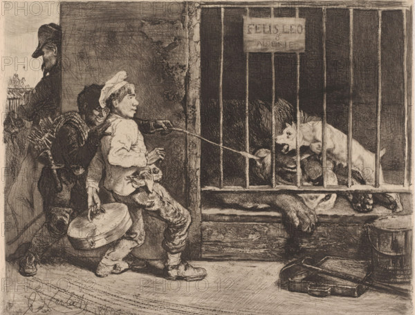 Two boys teasing a lion, print, Two boys stick a branch through the bars of a lion cage. A guard dog defends the sleeping lion. A sign hangs on the bars with the text 'Felis Leo Algerie'., printmaker: Charles Verlat, 1869, paper, chine collé, etching, drypoint, retroussage, intaglio printmaking technique, height 202 mm x width 250 mm, beasts of prey, predatory animals: lion, child teasing animals, A monochrome etching showing a scene with a barred cage on the right containing several animals, one light-colored dog standing with its mouth open and darker animals crowded behind the bars, and a large paw or limb resting over the lower ledge; to the left of the cage two young boys stand near a wall, one facing the cage wearing a cap and simple clothing and holding a string that extends into the cage, the other boy behind him leaning forward with a satchel and a bundle of sticks on his back and carrying a round case in a hand; a man in a brimmed hat stands in the background turned away with...