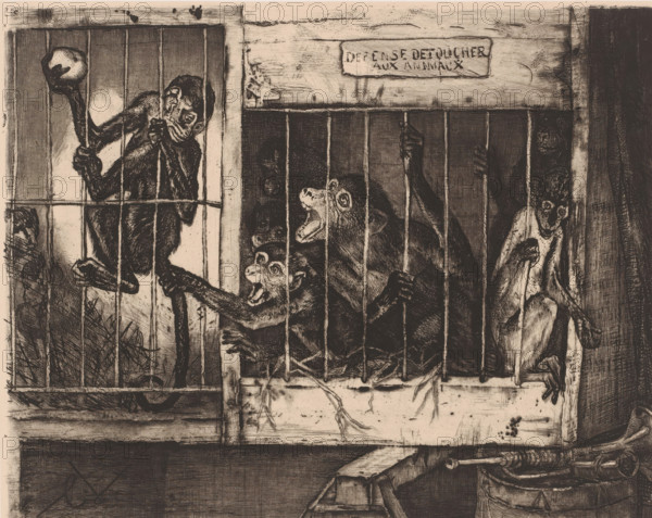 Cage with monkeys, Défense de toucher aux animaux, print, printmaker: Charles Verlat, 1834 - 1890, paper, chine collé, etching, drypoint, retroussage, intaglio printmaking technique, height 200 mm x width 247 mm, monkeys, apes, A monochrome etched scene shows a row of barred enclosures with primates behind the metal bars. One enclosure holds a small primate perched on a bar, clutching a branch with a round object at its end, while another leans against the vertical bars. In the adjacent enclosure several primates press against the bars with open mouths and expressive faces, one reaching a hand through the bars. On the far side a lanky primate sits with its limbs draped and a long tail visible. The enclosures have wooden framing and a ledge beneath the bars, with scratched and textured surfaces and scattered hay or straw around the animals. The overall image is detailed with crosshatching and fine line work creating shadows and textures.