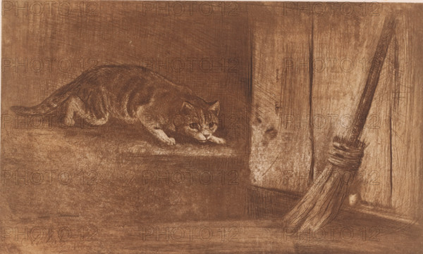 Cat and mouse, print, Cat stalks a mouse hiding behind a broom., printmaker: Charles Verlat, 1834 - 1890, paper, chine collé, etching, intaglio printmaking technique, height 246 mm x width 327 mm, A monochrome sketch showing a cat crouched low on a surface with its body stretched and paws forward, its head lowered and eyes looking ahead, fur and stripes rendered with fine crosshatched lines; to the right a wooden panel or beam with visible grain and scratches stands vertically, and a broom with a wrapped handle and frayed bristles leans against it, all depicted with textured shading and scratchy linework on a uniformly toned background.