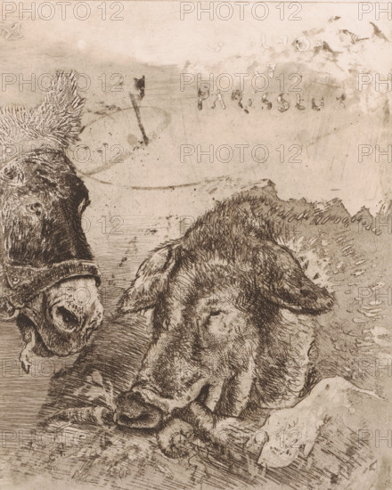 Glouton et paresseux, Donkey and pig, print, A pack donkey and an eating pig, in which the text above the animals calls them respectively sober and hardworking, and gluttonous and lazy. Cut sheet., printmaker: Charles Verlat, in or after 1880, paper, etching, drypoint, intaglio printmaking technique, aquatint, height 237 mm, width 192 mm, pig, ass, donkey, A sepia-toned etching showing the heads and upper bodies of two animals in close view, one on the left with a visible snout, bristly mane, and a harness around its head, and the other on the right reclining with a textured coat, closed eyes, and a relaxed expression; the background is a mottled, scratched surface with areas of darker smudging and linear etching marks, and the foreground contains rough, cross-hatched lines and textured shading suggesting ground beneath the animals.