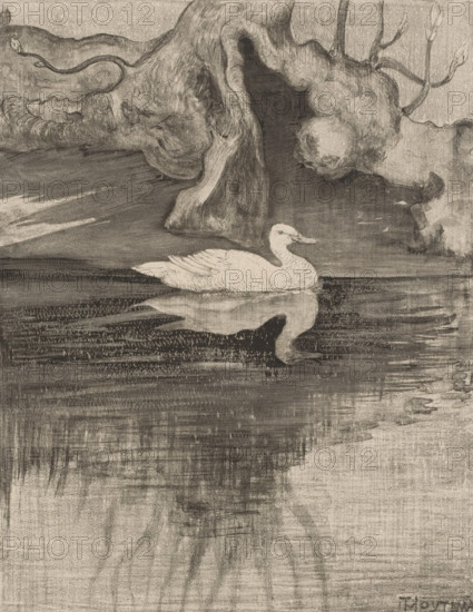 Pond with duck, print, The duck swims near tree roots., printmaker: Theo van Hoytema (signed by artist), 1878 - 1914, paper, chine collé, lithography, blind-stamped, lithography and blind printing, height 312 mm x width 241 mm, height 425 mm x width 300 mm, water birds: duck, pond, pool, A monochrome drawing of a pond scene showing a pale waterfowl floating on calm water with a clear reflection beneath it, set against a textured backdrop of a large, gnarled tree trunk with contoured knots and roots extending into the water, surrounded by softly shaded foliage and distant branches, the surface of the water rendered with horizontal strokes and areas of dark and light shading creating ripples and reflections, and the overall image composed of fine pencil or charcoal lines and smudged tonal areas.