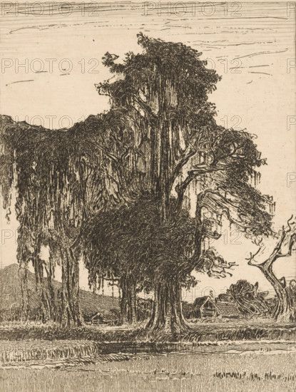 Landscape in the Preanger (original title), Tree by a cemetery in the Preanger on Java, print, In the background the mountain Gunung Poetri, near the place Garut., printmaker: Wijnand Otto Jan Nieuwenkamp (signed by artist), 1899, 1913, paper, zinc etching, intaglio printmaking technique, etching with plate tone on zinc, height 205 mm x width 157 mm, trees, mountains, Java, West Java, Preanger, Garut, A detailed monochrome etching shows a group of large, drooping trees with dense, textured foliage and long hanging strands, their trunks and branches rendered with intricate lines and crosshatching; beneath and among the trees small rooftop structures and a few indistinct forms appear partially obscured by the vegetation; a flat horizontal foreground suggests a shoreline or embankment with layered linear patterns, and the sky above is mostly empty with a few sparse horizontal strokes.