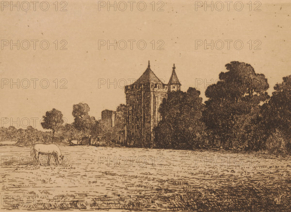 View of Brederode Castle seen from a meadow, print, printmaker: Jonkheer Barthold Willem Floris van Riemsdijk, Netherlands, 1865 - 1918, paper, etching, intaglio printmaking technique, etching with plate tone, height 140 mm x width 191 mm, horse, castle, Santpoort, Ruins of Brederode Castle, A sepia-toned ink drawing showing a grassy foreground with a horse grazing near the left edge, a wide open field stretching toward a cluster of tall trees on the right, and a stone tower with conical roofs partially obscured by foliage near the center, with additional trees and low shrubs surrounding the structure and a mostly clear sky above.