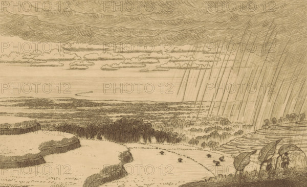 A rain shower (original title), Rain shower over the rice fields near Gitgit on Bali, print, In the background the Java Sea., printmaker: Wijnand Otto Jan Nieuwenkamp (signed by artist), 1908-06, paper, etching, drypoint, intaglio printmaking technique, drypoint and plate tone on copper, proof print, height 158 mm x width 237 mm, coast, sawahs, rice paddies, downpour, rain shower, Bali, Gitgit, Java Sea, A wide pencil landscape showing a distant horizon over calm water beneath layered clouds, with long diagonal rain strokes falling from darker storm clouds on the right; below the sky, textured fields and marshes extend toward the water, with clusters of densely sketched trees and low hedgerows, curved terraces and raised grassy banks in the foreground, a few small birdlike figures on the shore, and large detailed leaves and plant forms at the lower right merging into the landscape.