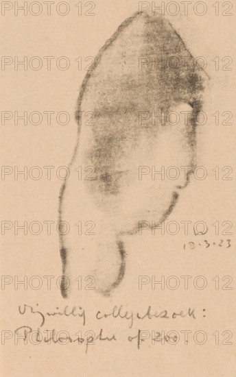 Abstracted head, Idealists II and further Marginal Notes (original series title), print, At the bottom of the text: 'Voluntary lecture visit: Philosophy of zoo.', printmaker: Erich Wichmann, 1923-03-18, paper, lithography, height 196 mm x width 124 mm, scholar, philosopher, caricatures (human types), A pale sheet with a charcoal or pencil rubbing of a side profile head shape, showing a textured dark area forming the top and back of the head and a lighter smudged interior, with a darker curved outline suggesting the jaw and neck extending downward, and faint smudges and marks scattered around the main form.