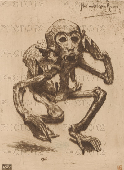 The dried-up monkey (original title on object), print, Skeleton of a monkey., printmaker: Gerard Vroom (signed by artist), 1916, paper, etching, drypoint, intaglio printmaking technique, height 198 mm x width 147 mm, monkeys, apes, (human) skeleton, A sepia-toned, detailed line drawing of a hunched skeleton-like figure with an elongated skull and hollow eye sockets, its jaw open to reveal pointed teeth, visible ribcage and shoulder blades, and long, thin limbs bent at the elbows and knees with bony hands and feet; textured cross-hatching and shading define the contours and surfaces, and there is faint handwritten script near the top right of the image.