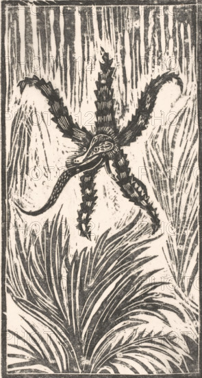 Sea monster, print, printmaker: Janus de Winter (signed by artist), 1892 - 1938, paper, Japanese paper (handmade paper), woodcut, height 308 mm x width 169 mm, fabulous animals (sometimes wrongly called 'grotesques'), 'Mostri' (Ripa), surrealia, surrealistic representations, A vertical monochrome print shows a central star-shaped plant with textured, serrated arms radiating outward and a coiled, elongated element looped around its center, set against a background of tall, linear vertical marks and layered, fan-shaped foliage at the bottom and sides, all enclosed by a thin rectangular border.