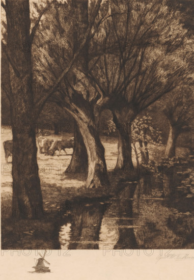 By the stream, Meadow by the water, print, Cows stand in the meadow on the left and trees stand by the water., printmaker: Gerarda Wilhelmina ten Hoet (signed by artist), Netherlands, 1867 - 1939, paper, etching, intaglio printmaking technique, height 455 mm x width 367 mm, landscapes in the temperate zone, trees, cow, spring, source of river or stream, A sepia-toned etching showing a wooded scene with several tall, gnarled trees in the foreground and middle ground, their trunks and branches rendered with dense crosshatching, a grassy clearing visible through the trunks where a few grazing cows appear, and a dark reflective water surface in the lower portion that mirrors the tree trunks and light patches above, with a small sketch of a windmill and a pale blank area along the bottom edge.