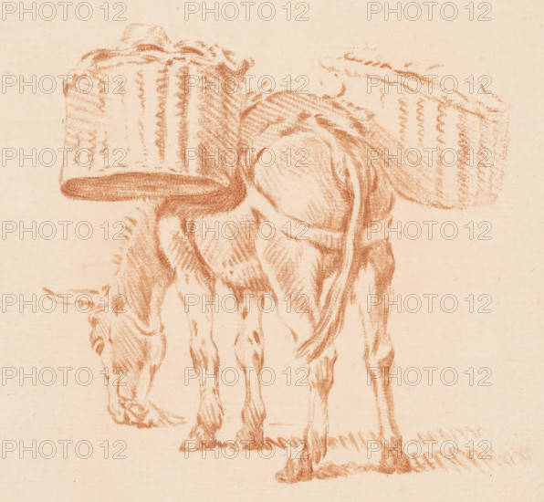 Loaded donkey, print, A donkey with two baskets on its back. The print lies loose in an album, see pages 126-128., printmaker: Jurriaan Cootwijck, Amsterdam, after drawing by Pieter van Bloemen, 1724 - 1798, paper, print drawing, crayon manner, etching in crayon manner, printed in red, height 148 mm x width 169 mm, The print was included in: Collection d'imitations de dessins d'après les principaux maîtres hollandais et flamands, London, C. Josi, 1821., ass, donkey, pack-animal, A red chalk drawing on beige paper showing the rear half of an animal with its head lowered and legs visible, the animal is carrying two large textured panniers or bundles on its back with visible woven-like patterns and rounded edges, the fur and muscle contours of the animal are indicated by short parallel strokes and shading, the hooves rest on a rough ground indicated by horizontal chalk marks.