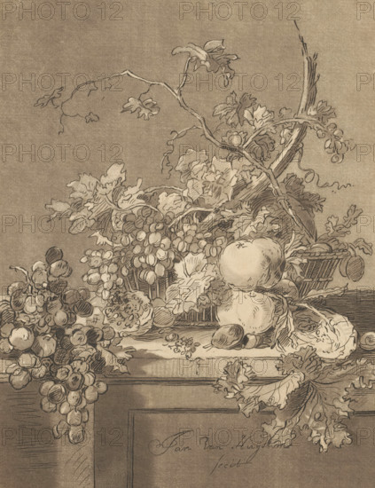 Basket of fruit, print, The print is loose in an album, see page H. 66., printmaker: Bernhard Schreuder, Netherlands, after drawing by Jan van Huysum, 1767 - 1780, paper, print drawing, etching, transfer print, roulette, transfer print and roulette, height 207 mm x width 158 mm, fruit, A detailed pencil and ink drawing of a still life showing clusters of grapes cascading over the edge of a surface, leafy vines twisting and curling across the composition, round fruit resting among textured leaves, a woven basket partially visible, sculpted branches and stems entwined with foliage, varied shading that defines the contours of the fruit and leaves, and a flat horizontal ledge beneath the arrangement.