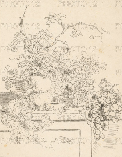 Basket of fruit, print, The print is loose in an album, see page H. 66., printmaker: Bernhard Schreuder, Netherlands, after drawing by Jan van Huysum, 1767 - 1780, paper, print drawing, etching, counterproof, counterprint of etching, proof print, height 246 mm x width 193 mm, fruit, A detailed black ink line drawing on aged paper showing a still life arrangement of fruit and foliage, including clusters of round fruit resembling grapes cascading down the right side, larger round fruits positioned near the center, leafy vines and tendrils woven among the fruit, a woven basket partially visible behind the fruit, textured leaves with ruffled edges filling the upper and left areas, and wooden planks or a framed surface forming horizontal and vertical lines beneath and around the arrangement.