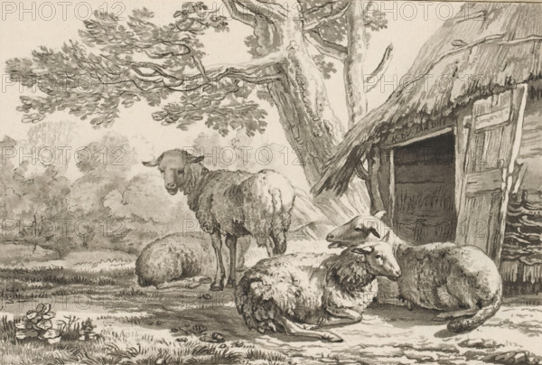 Sheepfold, print, Four sheep by the open sheepfold. The print is loose in an album, see page 44., printmaker: Cornelis Brouwer, after drawing by Karel du Jardin, supervision: Cornelis Ploos van Amstel, Amsterdam, 1781 - 1787, paper, print drawing, etching, stencil, etching and stencil, height 118 mm x width 173 mm, sheep, A group of sheep occupy a shaded foreground near a rustic shelter and a large tree, with one sheep standing and others lying or resting close together; detailed wool textures and relaxed postures are visible. The shelter has a rough wooden door ajar and weathered boards, and the large tree beside it shows textured bark and spreading branches with clusters of leaves. In the background there are soft, tree-like shapes forming a distant landscape and a grassy area with small plants and flowers at the lower edge. The scene is rendered in monochrome with varied shading and fine line work.