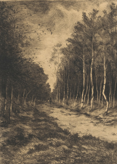 Forest path with two riders, Berkenlaan, print, inscription: '1.-', printmaker: Gerarda Wilhelmina ten Hoet (signed by artist), Netherlands, 1867 - 1939, paper, lithography, tone lithography in black with tone block in beige, height 624 mm x width 486 mm, riding a horse, ass, or mule, rider, horseman, forest path or lane, trees, A charcoal-toned landscape drawing showing a narrow dirt path leading into a dense stand of tall trees with slender trunks and textured foliage, darker masses of trees flanking both sides and a lighter sky visible above with soft cloud-like shading, a small indistinct figure seated or standing along the path in the mid-distance, and foreground grasses and undergrowth rendered with rough, crosshatched strokes.