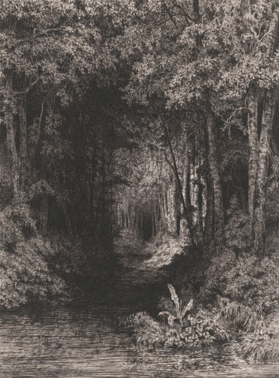 Stream through the forest, print, printmaker: César de Cock, 1833 - 1879, paper, chine collé, etching, roulette, etching and roulette on chine collé, height 325 mm x width 245 mm, forest, wood, river, A densely shaded scene of a forested area with tall trees lining a dark, narrow path that leads into deeper woods, leafy canopies creating patterned light and shadow, textured trunks and branches visible along the sides, undergrowth and bushes filling the lower areas, a cluster of broad-leaved plants and flowers near the foreground beside a calm body of water with subtle horizontal ripples, and detailed foliage and grasses framing the water’s edge.