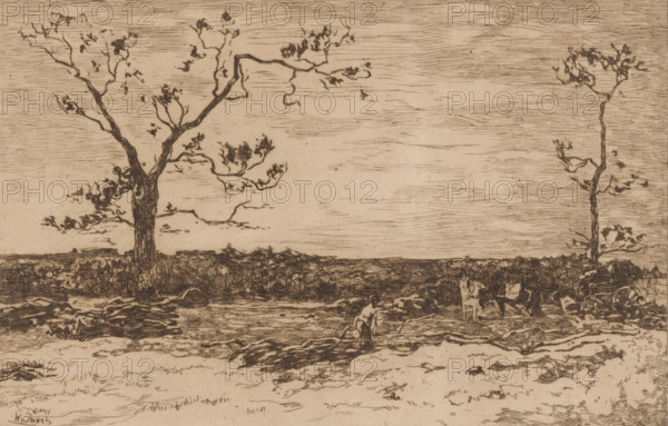 Landscape with bare trees and woodcutters, Loading coppice (original title), print, printmaker: Willem de Zwart (signed by artist), c. 1896, paper, etching, intaglio printmaking technique, height 200 mm x width 300 mm, trees, (farm) wagon, freight wagon, cart, forester, A monochrome sketch showing a flat landscape with two tall, slender trees, one on the left with a thicker trunk and spreading branches and one on the right more sparse and straight; a horizon line of low vegetation runs across the middle, and the sky is filled with horizontal, textured lines. In the foreground a figure sits or crouches near the ground between rough, dark patches of vegetation, and to the right of the figure a cartwheel and a partially obscured cart or broken machinery lie among scattered debris and small plants. The overall drawing uses fine, linear strokes and hatching to render trunks, branches, grass, and ground textures.