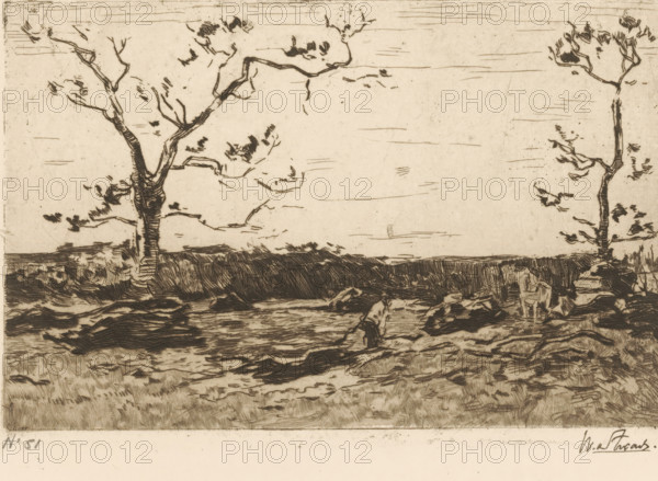 Loading Coppice (original title), Landscape with Bare Trees and Woodcutters, print, printmaker: Willem de Zwart (signed by artist), c. 1896, paper, etching, intaglio printmaking technique, height 125 mm x width 186 mm, trees, (farm) wagon, freight wagon, cart, forester, A sepia-toned etching shows a flat landscape with two prominent trees, one on the left with a thick trunk and spreading branches and one on the right with a slimmer trunk and sparse foliage, a dark horizontal band of vegetation or hedge crosses the middle ground, and the foreground contains textured ground with rocks and rough brush strokes suggesting uneven terrain; a small figure bent over appears near the center-right foreground and another small seated figure is near the right tree, while the sky above is mostly empty with a few horizontal scratch-like marks.