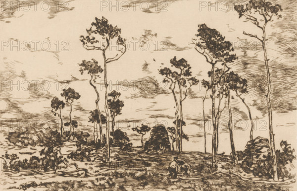 Loading Coppice (original title), Landscape with Bare Trees and Woodcutters, print, printmaker: Willem de Zwart (signed by artist), c. 1896, paper, etching, intaglio printmaking technique, height 160 mm x width 239 mm, trees, (farm) wagon, freight wagon, cart, forester, An ink drawing on a light beige background showing a sparse landscape of tall, slender trees with irregular, leafy canopies, scattered shorter shrubs and bushes, a ground rendered with short, textured strokes, and a sky filled with wispy, horizontal hatch marks; the trees vary in height and have thin, sometimes curved trunks, and the composition emphasizes vertical tree forms against the horizontally hatched sky.