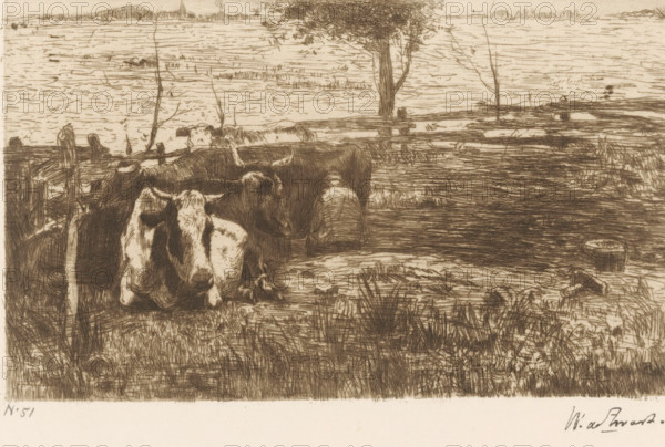 Milking Farmer (original title), Cows in a Meadow with a Milking Farmer, print, printmaker: Willem de Zwart (signed by artist), c. 1886 - c. 1887, paper, etching, drypoint, intaglio printmaking technique, height 117 mm x width 192 mm, Print appeared in 1889 as part of the annual publication of the 'Portefeuille der Nederlandsche Etsclub'., meadow, pasture, milking, cow, A sepia-toned etching showing a pastoral waterside scene with several cows resting and standing in the foreground near a muddy, grassy bank, a wooden fence and posts running behind them, a tree with a leafy canopy near the center-right, and a wide expanse of rippled water stretching to a distant low shoreline with faint landforms on the horizon.