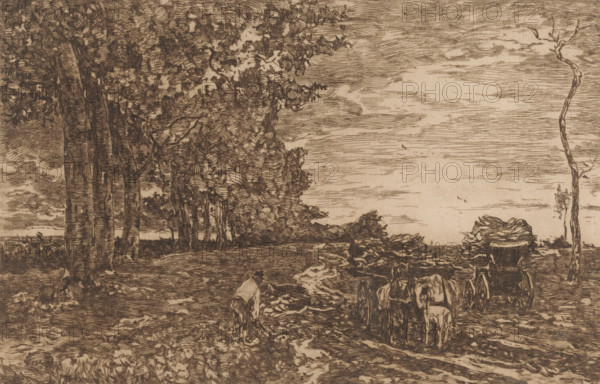 Loading Coppice (original title), Landscape with man and two carts with coppice, print, printmaker: Willem de Zwart (signed by artist), c. 1896, paper, etching, drypoint, intaglio printmaking technique, height 199 mm x width 300 mm, forest, wood, (farm) wagon, freight wagon, cart, forester, A monochrome etched landscape shows a row of tall leafy trees on the left extending toward the center, with a sky of horizontal etched lines occupying the upper right; a narrow dirt path runs along the foreground under the trees where a figure is bent over near scattered objects; to the right of the figure two horses stand harnessed to a carriage that faces away from the viewer, and behind them a tied load sits atop the carriage; a thin, bare tree trunk rises near the right edge, and low vegetation and textured ground fill the lower area.