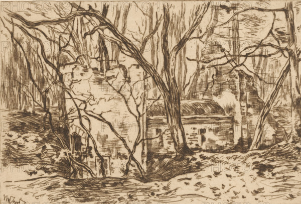 Ruins, seen from the side (Lage Vuursche) (original title), Ruins in a forest, print, printmaker: Willem de Zwart (signed by artist), c. 1896, paper, etching, intaglio printmaking technique, height 126 mm x width 182 mm, forest, wood, landscape with ruins, Lage Vuursche, A sepia-toned etching shows a wooded scene with numerous bare, twisting tree trunks and branches filling the foreground and middle ground, their dark linear strokes contrasting with the lighter background. Behind the trees there are rough stone structures partially obscured, including a building with a curved roofline and rectilinear wall surfaces marked by engraved crosshatching. In the left middle area a stone archway is visible amid tangled roots and vegetation, and the ground is rendered with horizontal and diagonal hatch marks suggesting uneven terrain and scattered leaves. The composition emphasizes meandering branches that arch across the scene and a dense cluster of vertical tree trunks toward the center, while...
