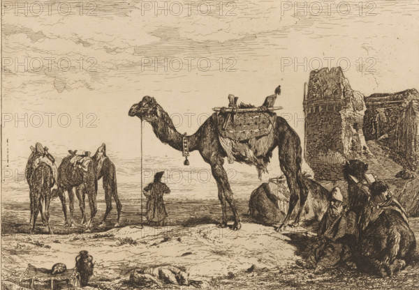Sous les murs de Téhéran (Perse), Landscape with camels near ruins, print, Numbered top right: 51., printmaker: Jules Joseph Augustin Laurens, France, printer (person): Delâtre, Paris, publisher: Cadart & F. Chevalier, A., 1863, printer (person), paper, etching, drypoint, intaglio printmaking technique, height 236 mm x width 325 mm, Published in: 'Société des aquafortistes', 1863., landscape with ruins, hoofed animals: camel, A group of camels stand and sit on a flat, sandy ground, several carrying woven packs and blankets and one with a tall ornamental harness and hanging tassel; a small figure in a long robe and head covering stands facing the camels holding a long staff that reaches up toward one camel’s head; a dog lies curled on the ground in the foreground near scattered vessels and bundles including a jar and a woven mat; to the right a ruined stone structure with a tall crumbling tower rises behind the animals, and a cluster of seated figures with head coverings rests near the ...
