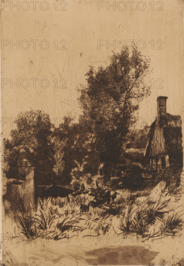 Landscape with farm and canal in Giethoorn, print, printmaker: Willem Bastiaan Tholen (signed by artist), 1870 - 1931, paper, etching, intaglio printmaking technique, roulette, height 200 mm x width 135 mm, canal, farm or solitary house in landscape, Giethoorn, A sepia-toned ink drawing showing a rural scene with dense, darkly etched trees and foliage occupying the central and left areas, a tall thin tree rising above the others, and grassy undergrowth in the foreground; on the right a thatched-roof cottage with a prominent chimney and visible roof lines and wall planks; varied fine hatchwork and scratch-like marks fill the sky and ground, creating texture and shading throughout the composition.