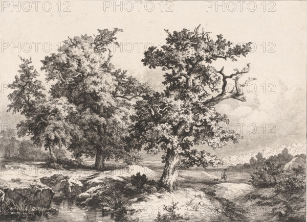 Les Chênes dans la plain, Landscape with oaks, walker and dog, Études gravées d'après nature, print, Series number, 2, 5, print maker: Eugène Bléry (signed by artist), Fontainebleau, after design by Eugène Bléry, 1842, Eugène Bléry, printmaker, paper, chine collé, etching, etching on chine collé, height 210 mm x width 274 mm, plain, trees: oak, walking the dog, A detailed black and white etching showing a natural scene with large, leafy trees occupying the foreground and middle ground, their trunks and branches rendered with fine lines and textured shading, one prominent tree leaning and extending a gnarled branch outward, clouds drawn in the sky with swirling, hatched lines, a small stream or pond at the bottom reflecting surrounding vegetation, grassy banks and rocky outcrops with intricate crosshatching, clusters of shrubs and low plants dotting the ground, and a lone small human figure walking along a path near the trees.
